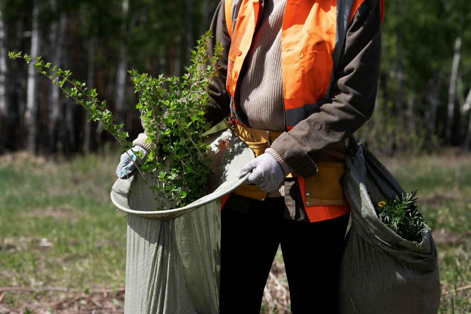 Tree Removal for Businesses